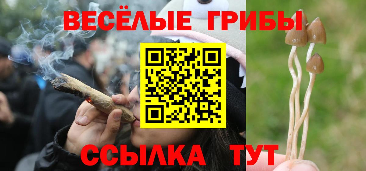 Псилоцибиновые грибы прущие грибы Скопин